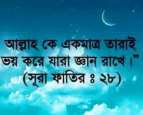 ইসলামিক ছবি